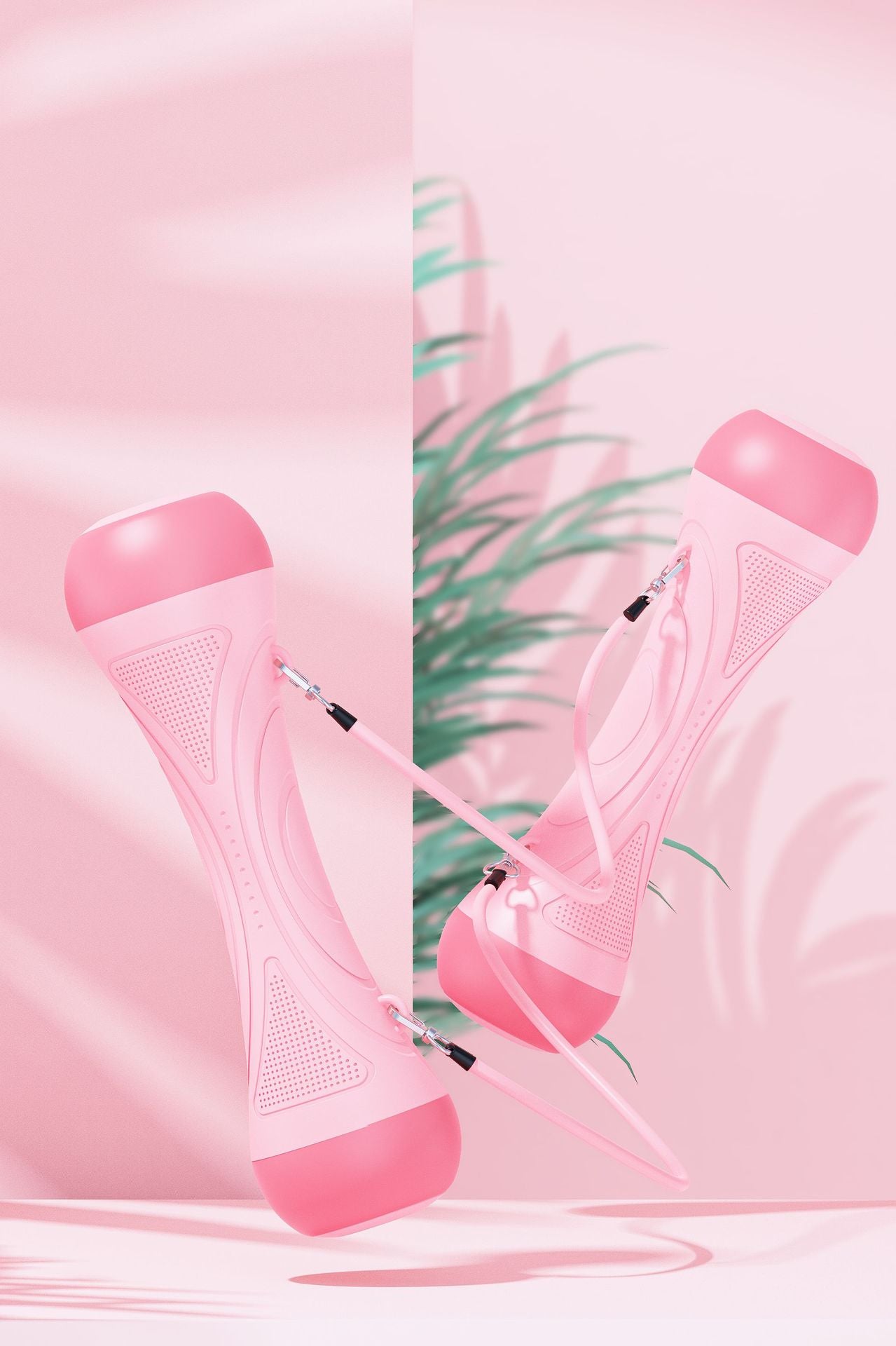 Dumbbell Women's Fitness Home